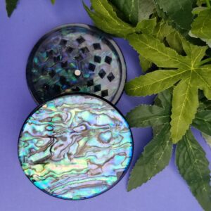 Abalone design with leafy background
