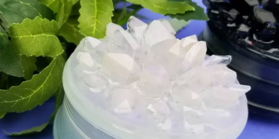 Crystal-topped container with green leaves